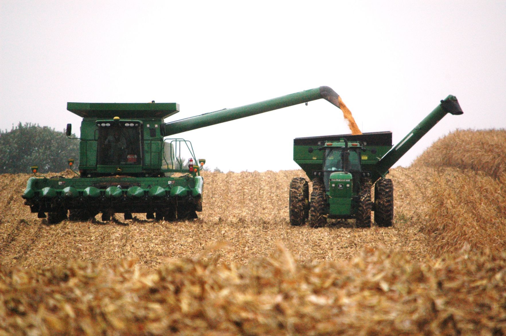 Farm harvest slowed